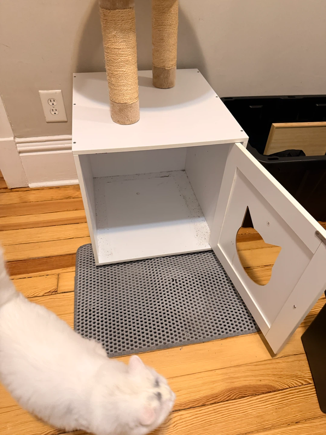 Cat Litter Box Enclosure and Scratching Post