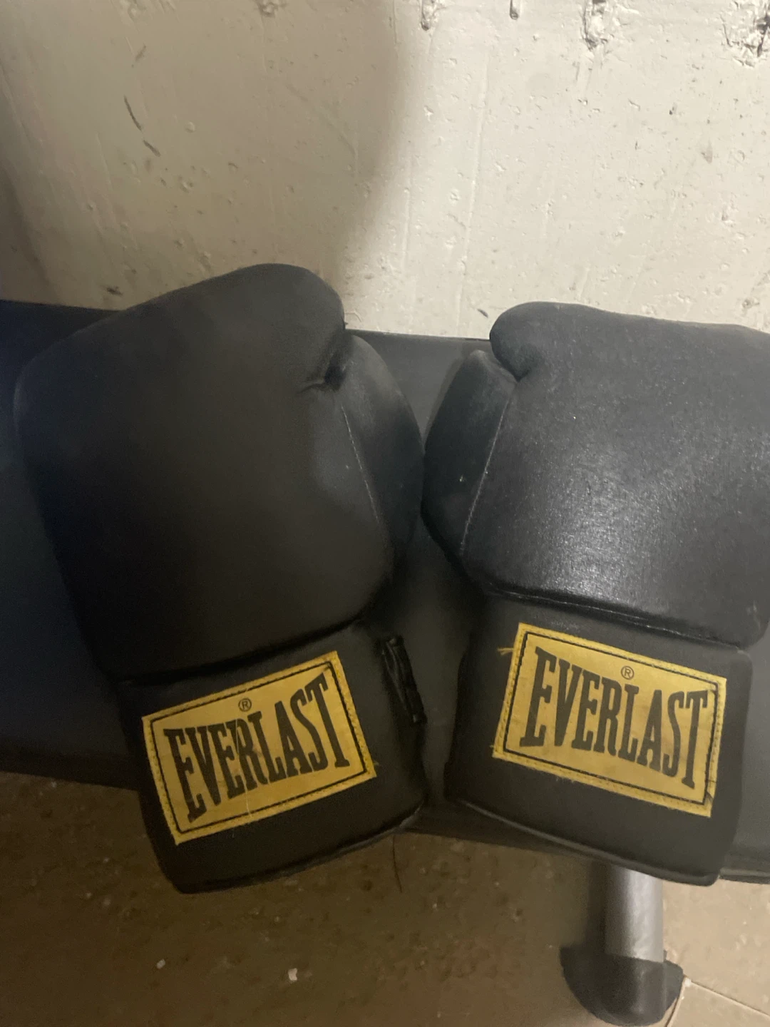 Everlast Boxing Gloves