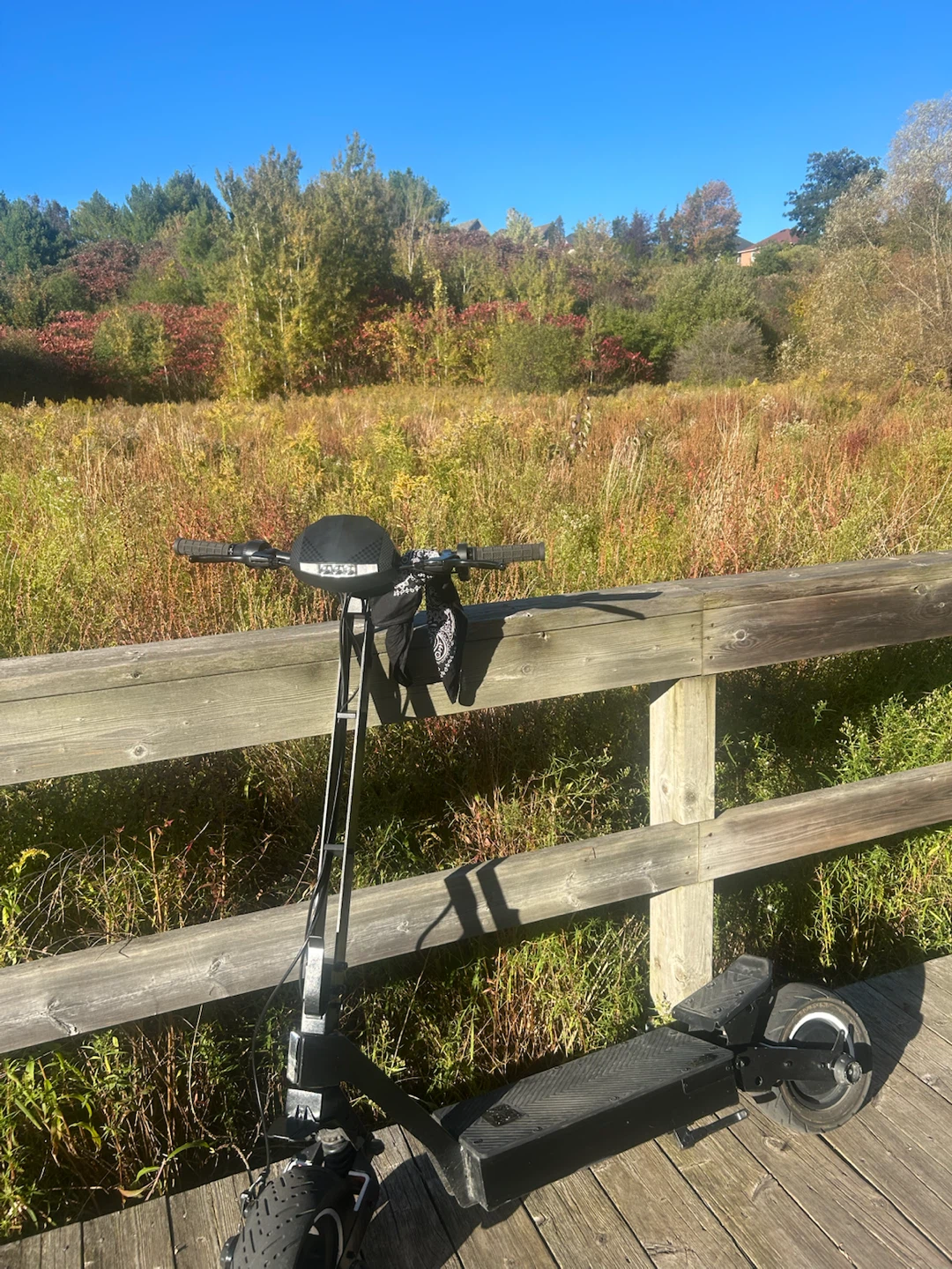 Black Electric Scooter