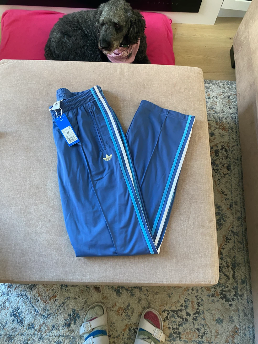 Adidas Track Pants