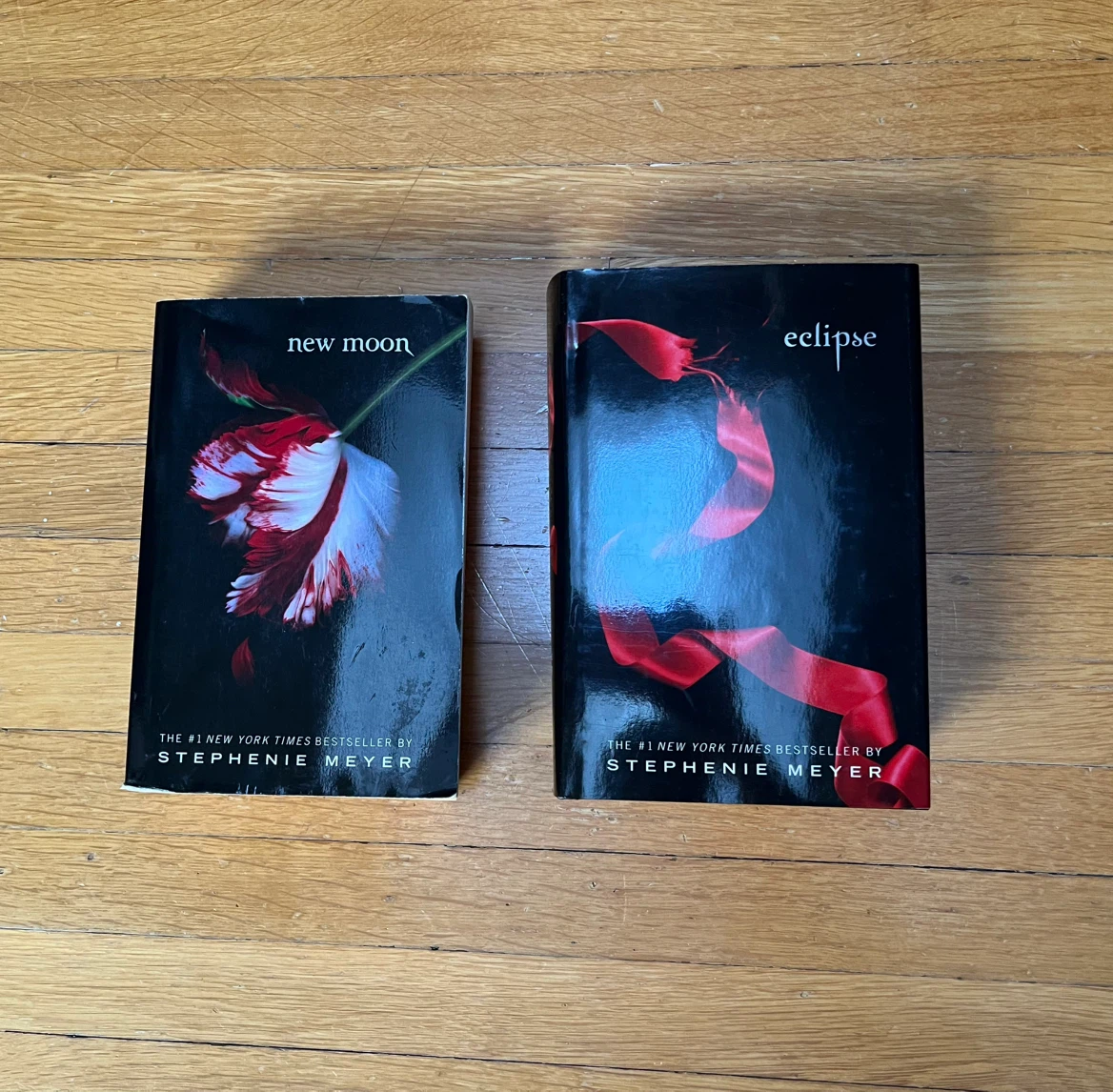 2 Twilight Saga Books - New Moon & Eclipse