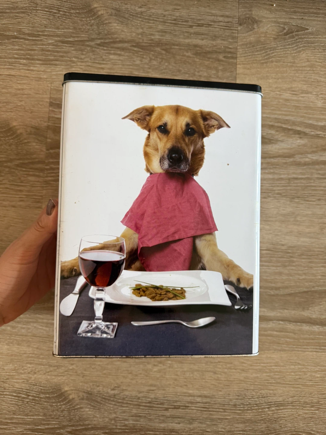 Dog food holder