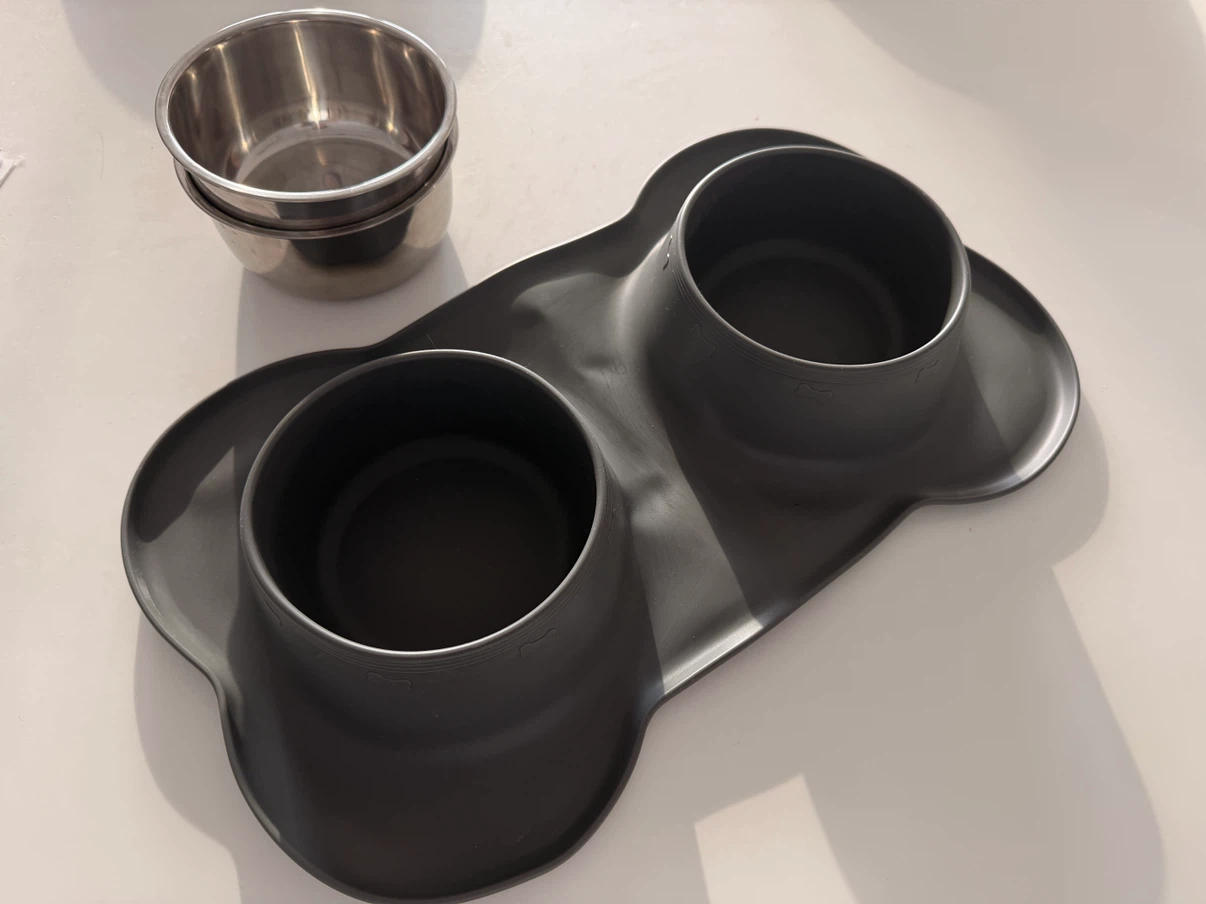 Double Pet Bowl with Silicone Mat