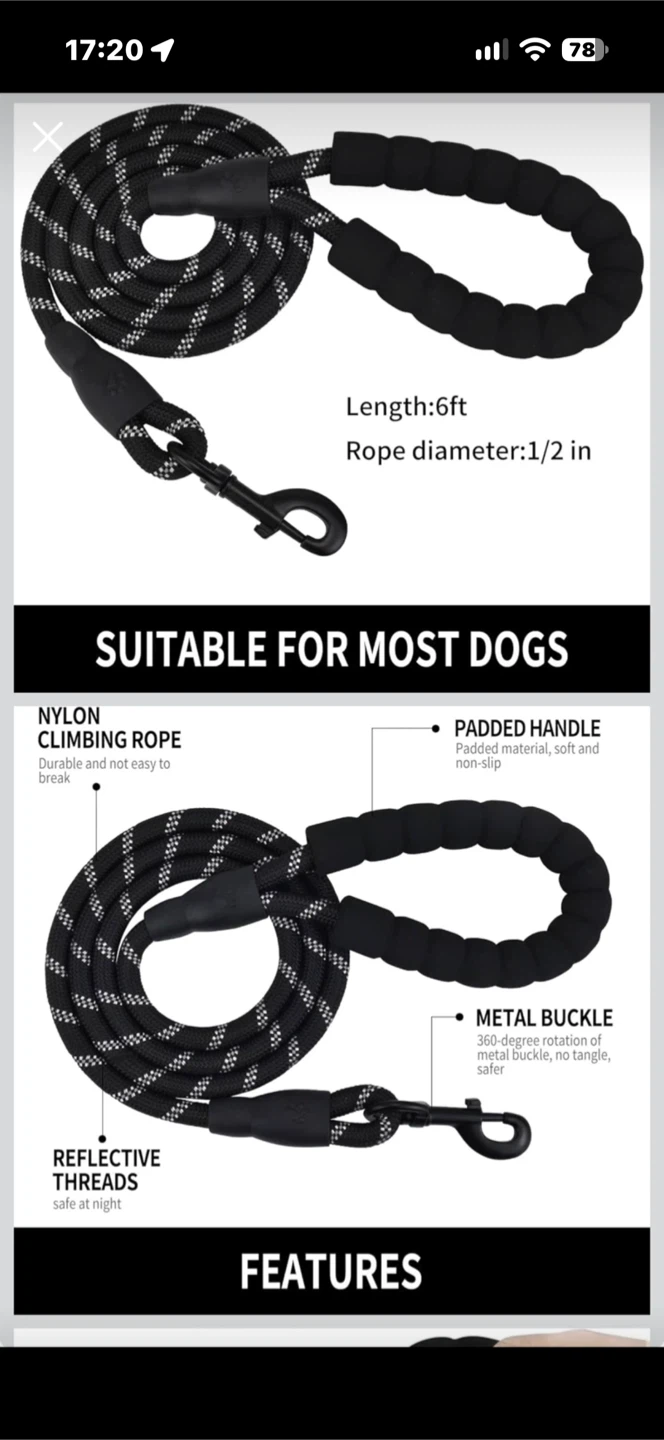 Reflective Nylon Dog Leash 6ft