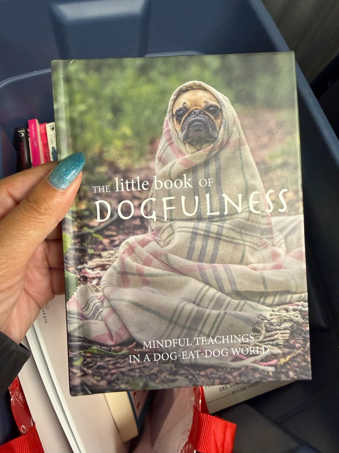 The Book of Dogfulness