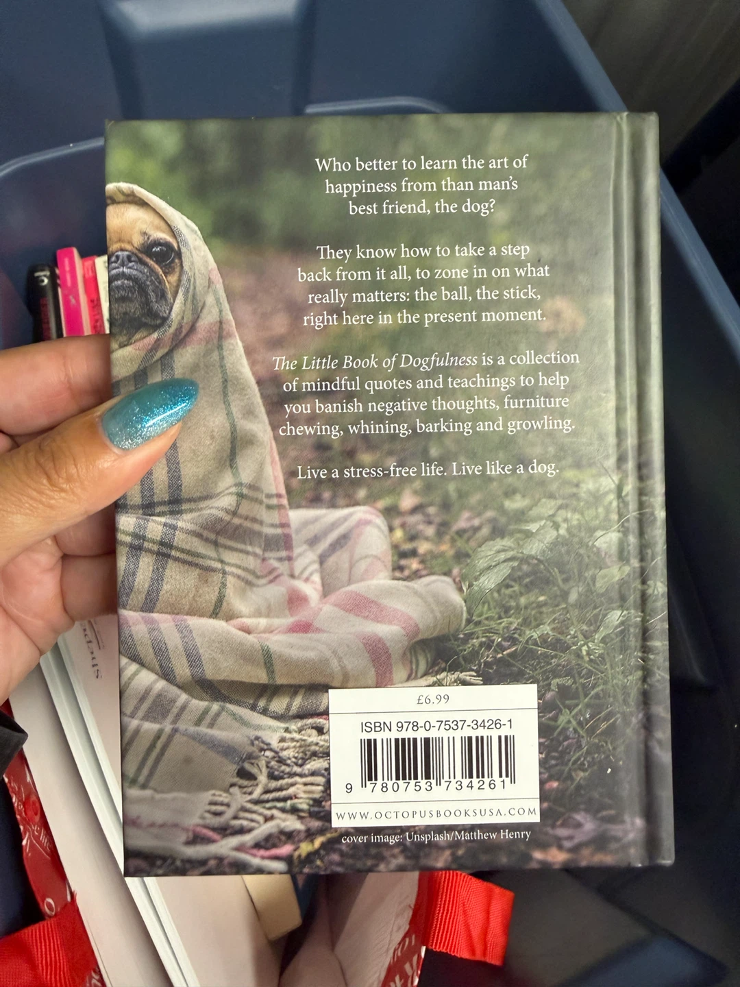 The Book of Dogfulness - photo 2