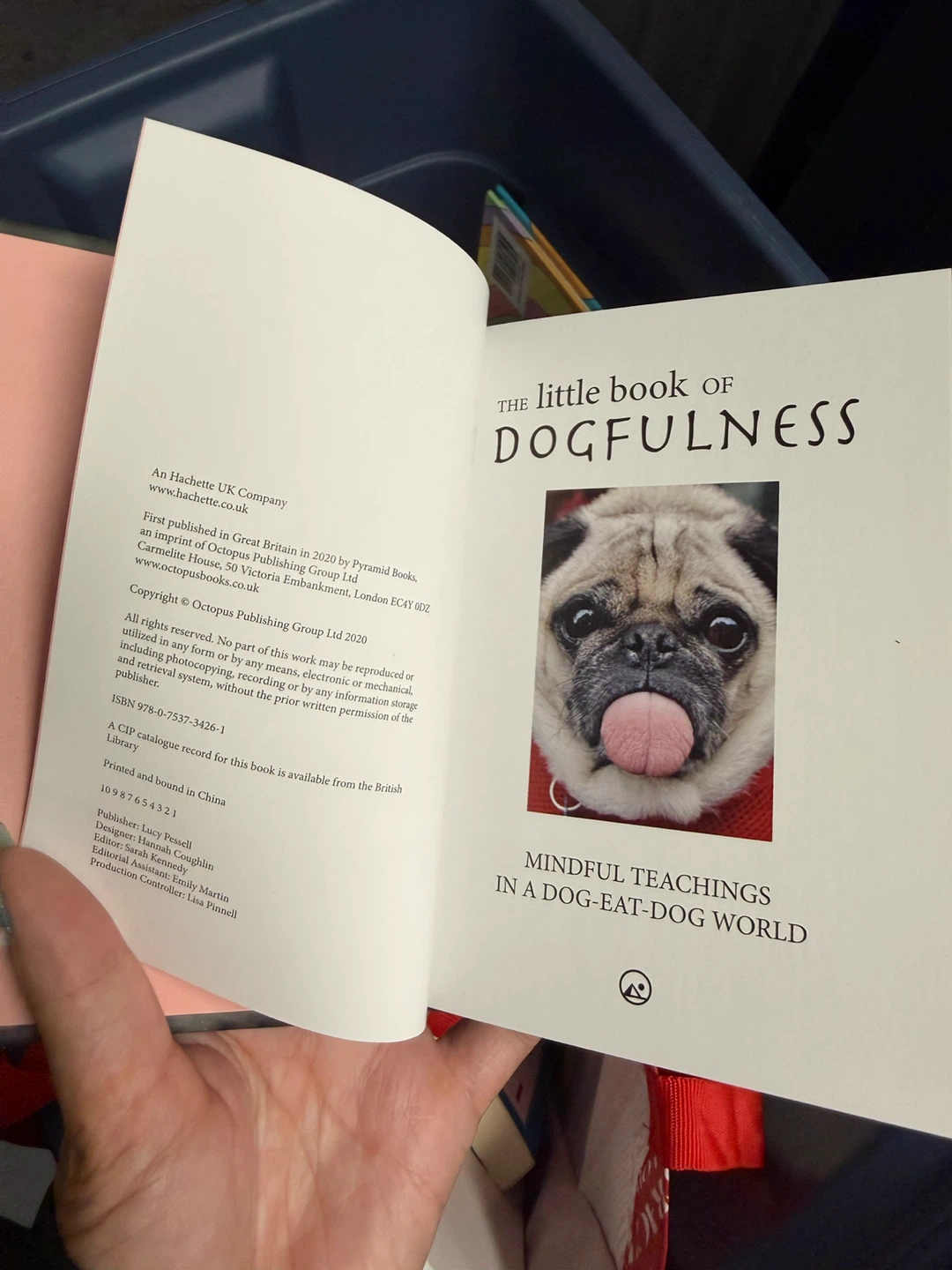 The Book of Dogfulness - photo 3