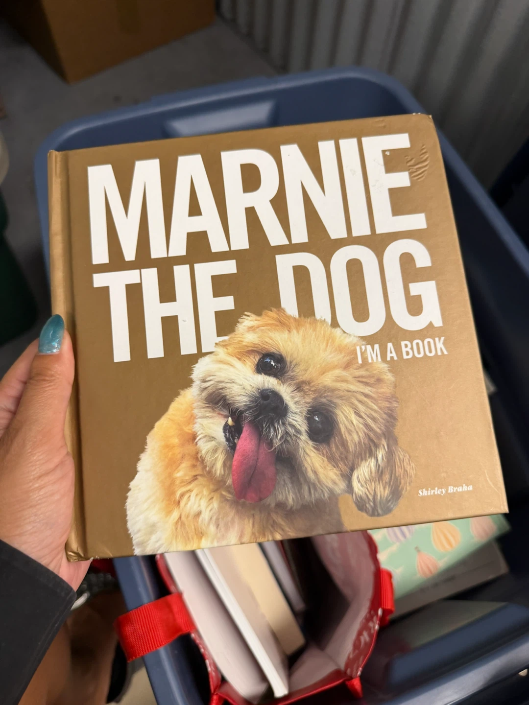 Marnie the Dog: I'm a Book by Shirley Braha