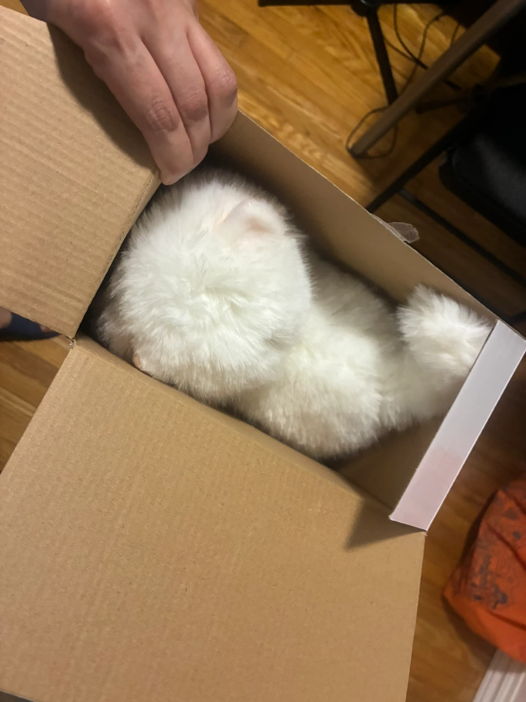 Yuhung Little Dreamer Sleepy Cat Toy - photo 4