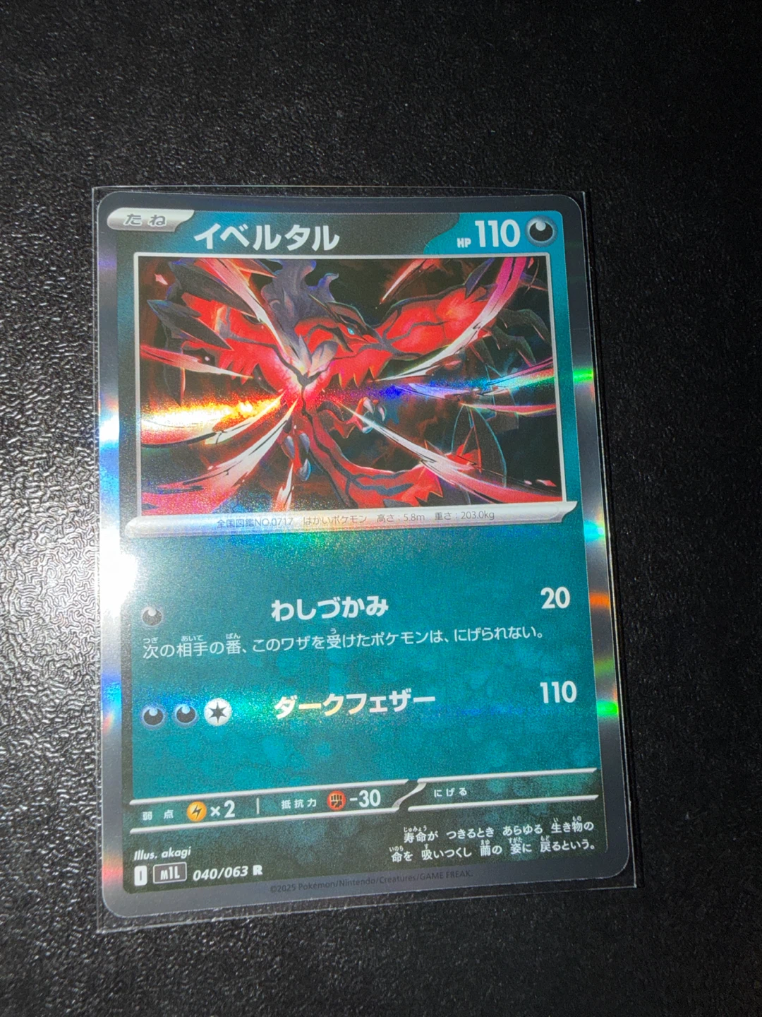Yveltal Japanese Pokemon Trading Card