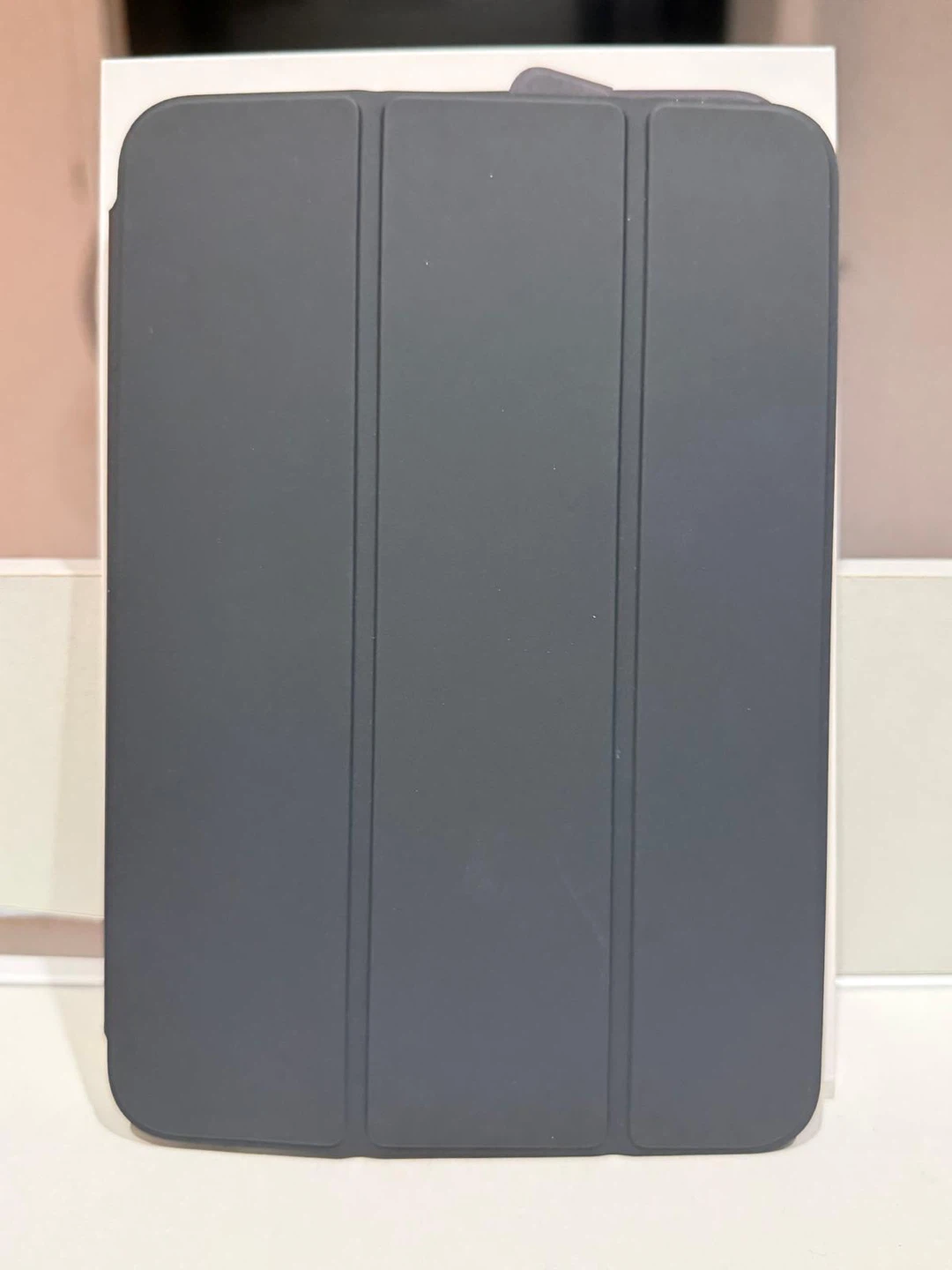 iPad Mini Smart Folio Case