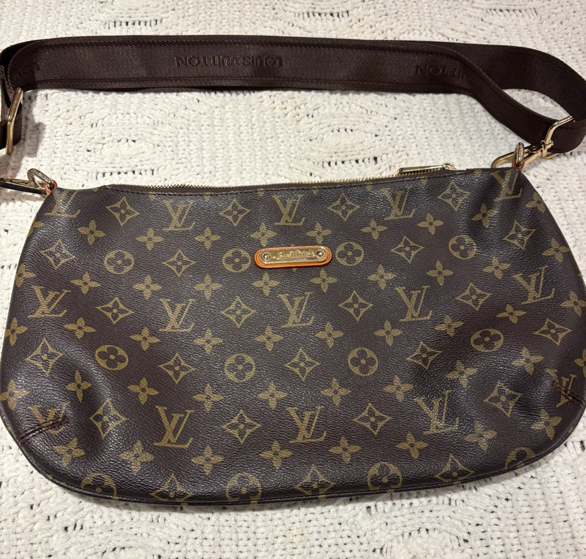 Louis Vuitton Monogram Canvas Pochette Accessories
