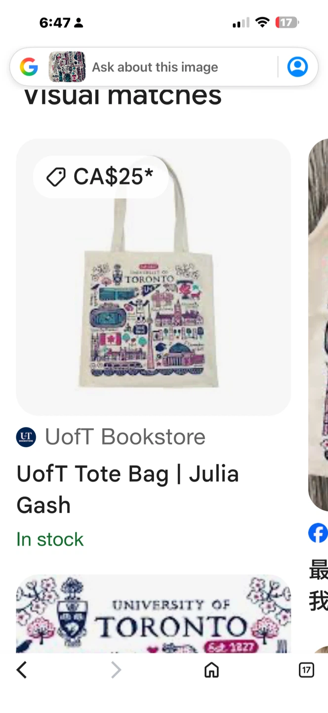 Brand new University of Toronto Canvas Tote Bag - photo 4