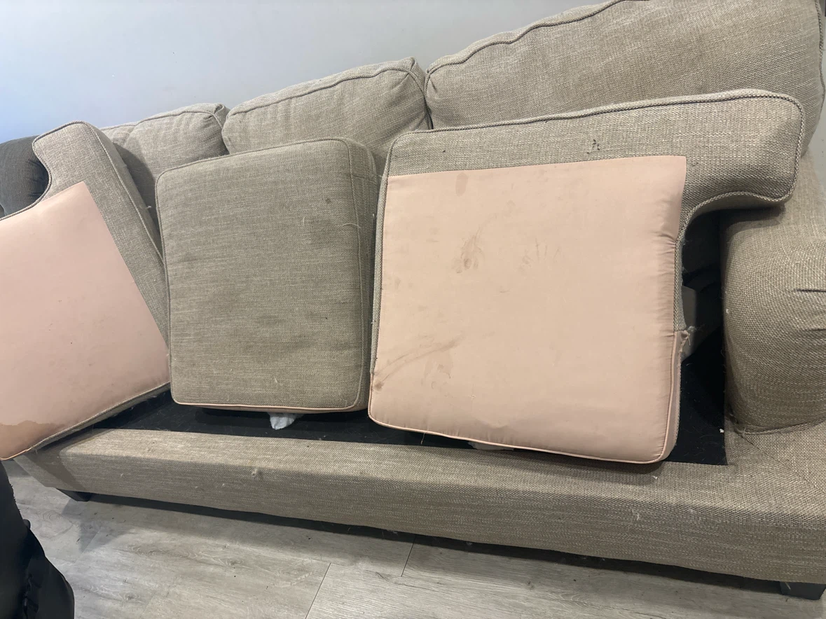 Free couch has stains and dog hair