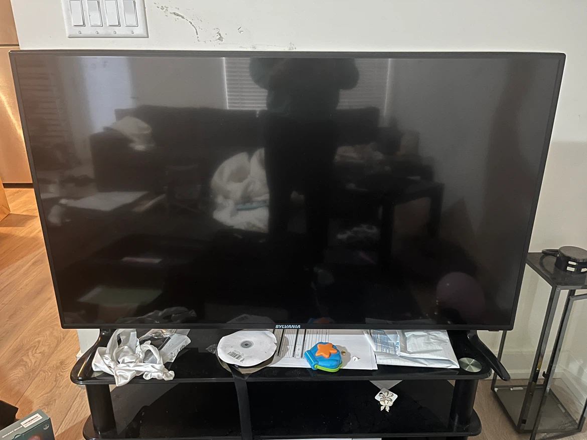 Sylvania 50 Inch TV - works perfect