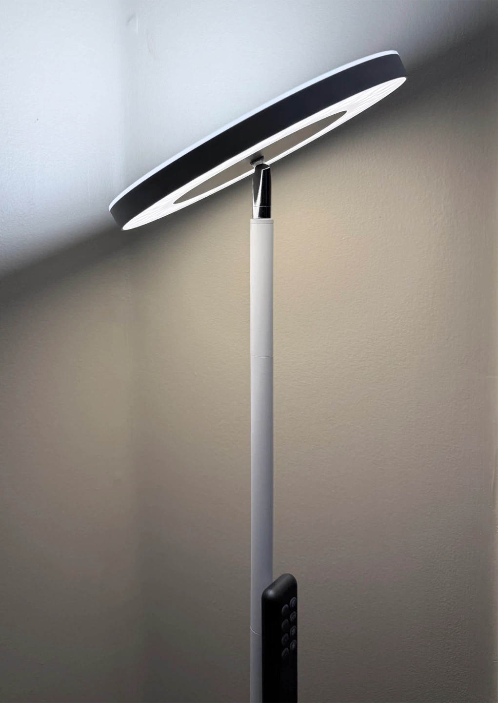 Modern LED Floor Lamp with Remote