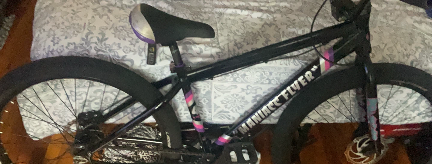 SE Bikes Maniac Flyer Bike - photo 4