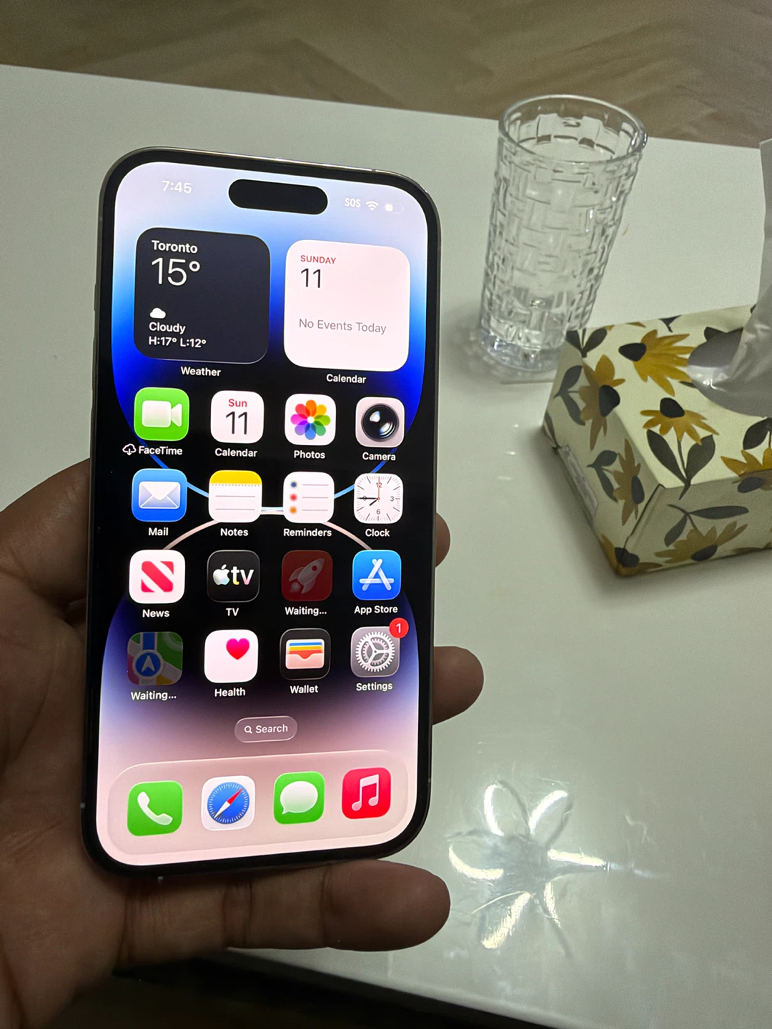 iPhone 14 Pro Silver - photo 4
