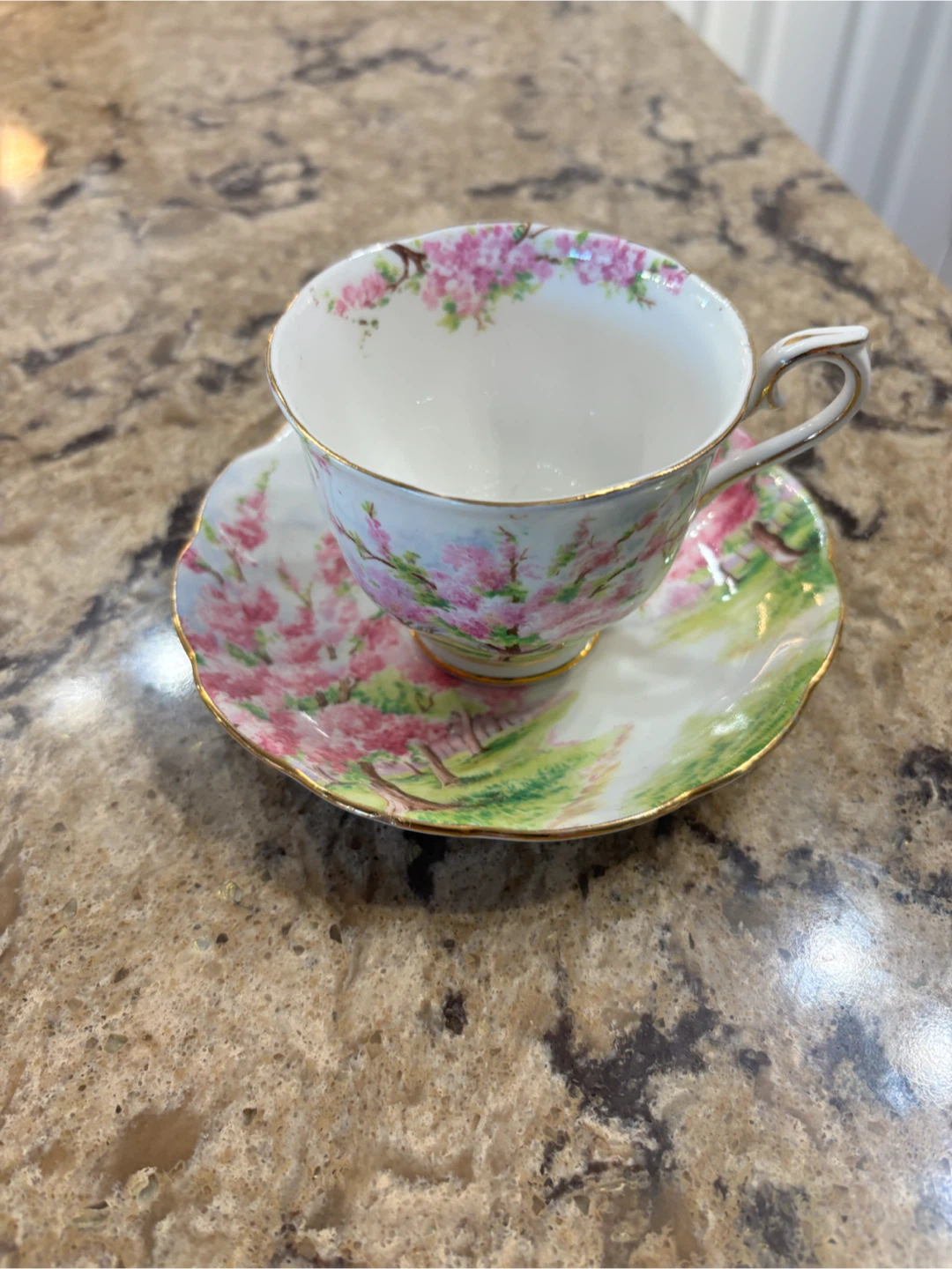 Royal Albert Blossom Time Tea Cup and Saucer