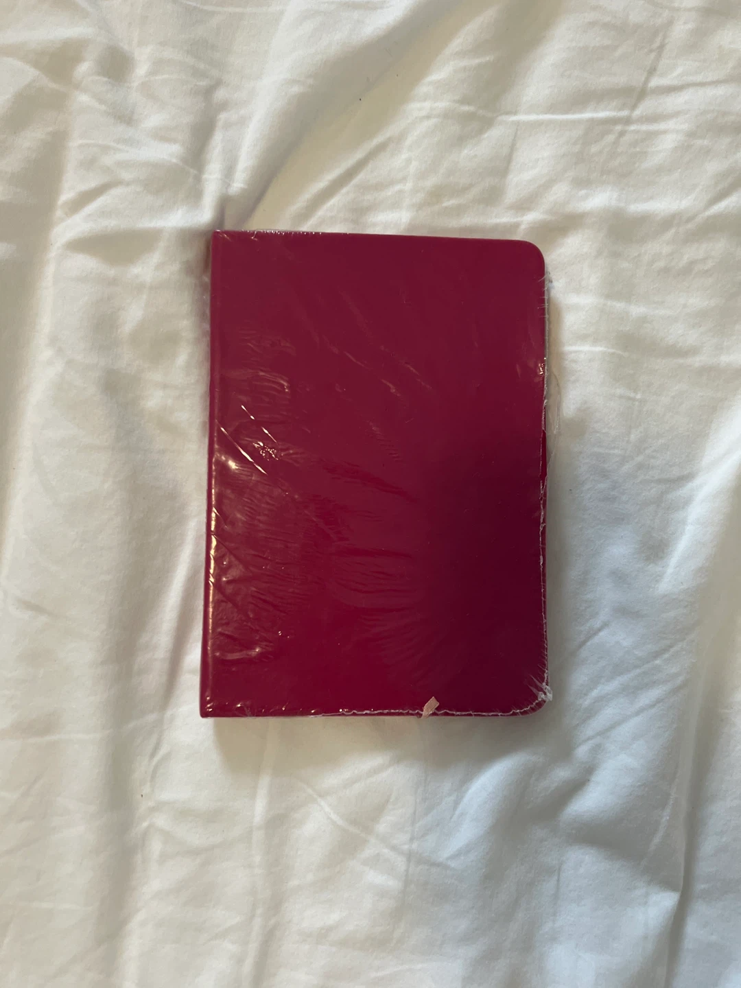Set of Two Lined Notebooks - photo 3