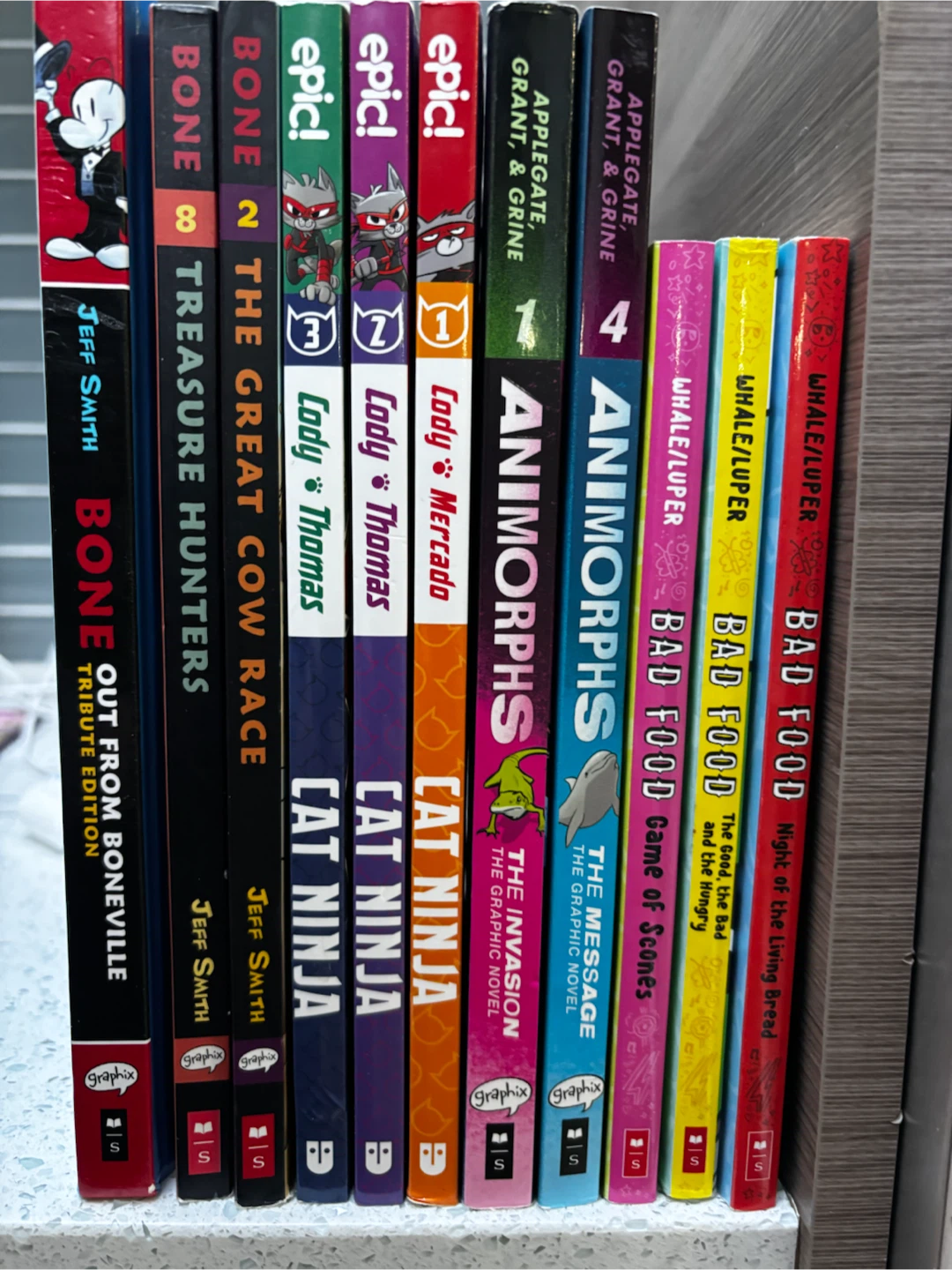 Graphic Novel Book Collection