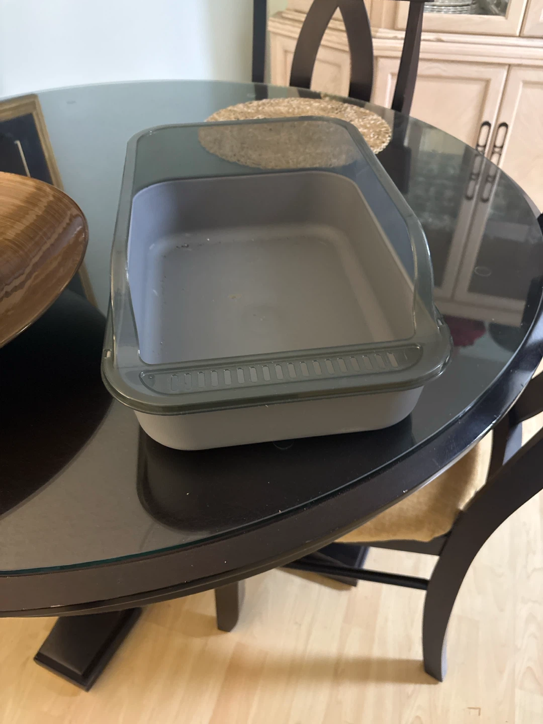 Cat Litter Box
