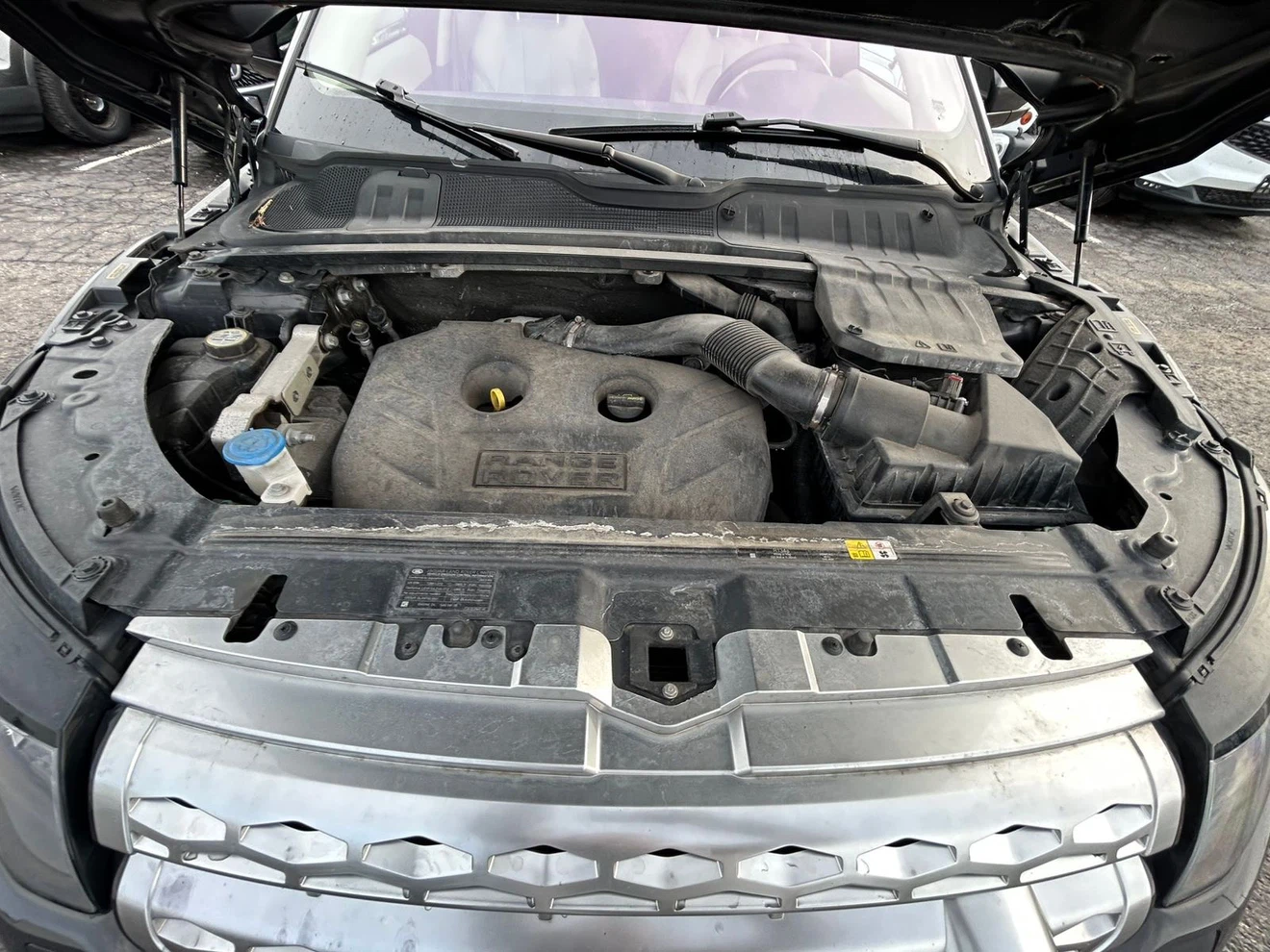 Range Rover Evoque Prestige | Accident-Free | Winter Tires - photo 3