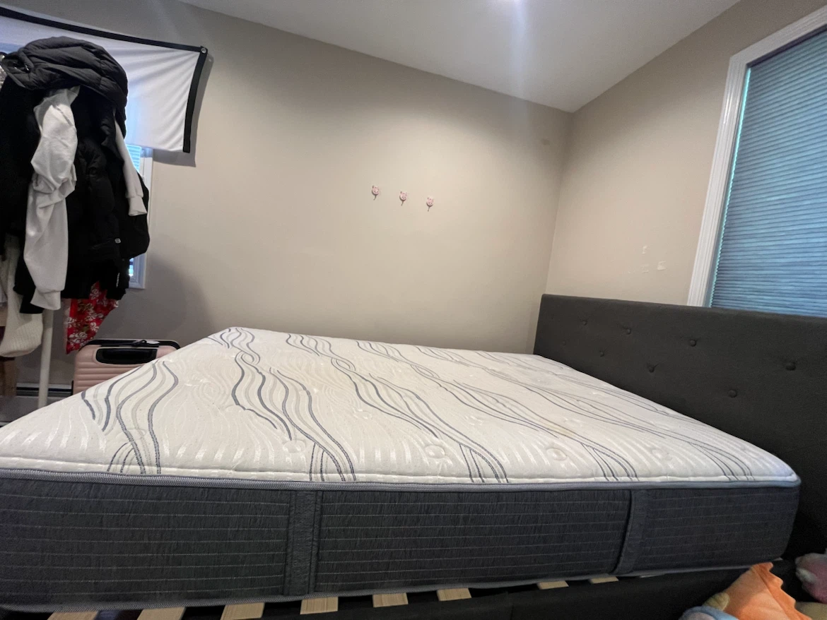 Queen Size Mattress plus Queen size bed frame