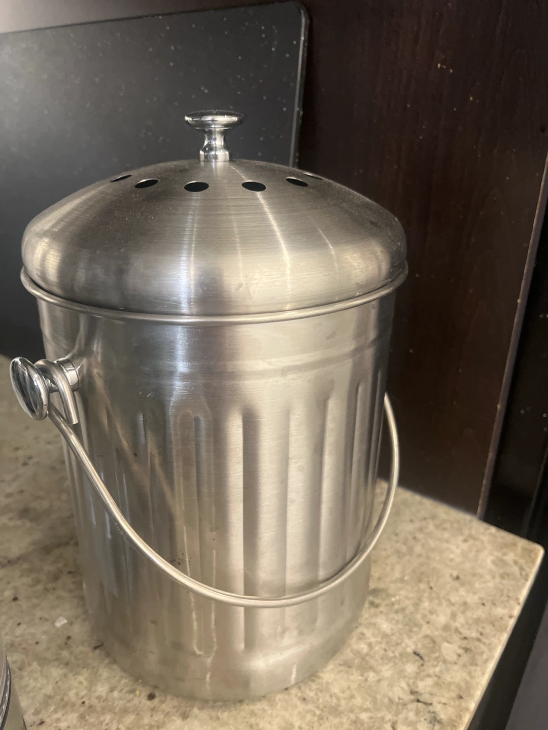 Stainless Steel Kitchen Compost Bin