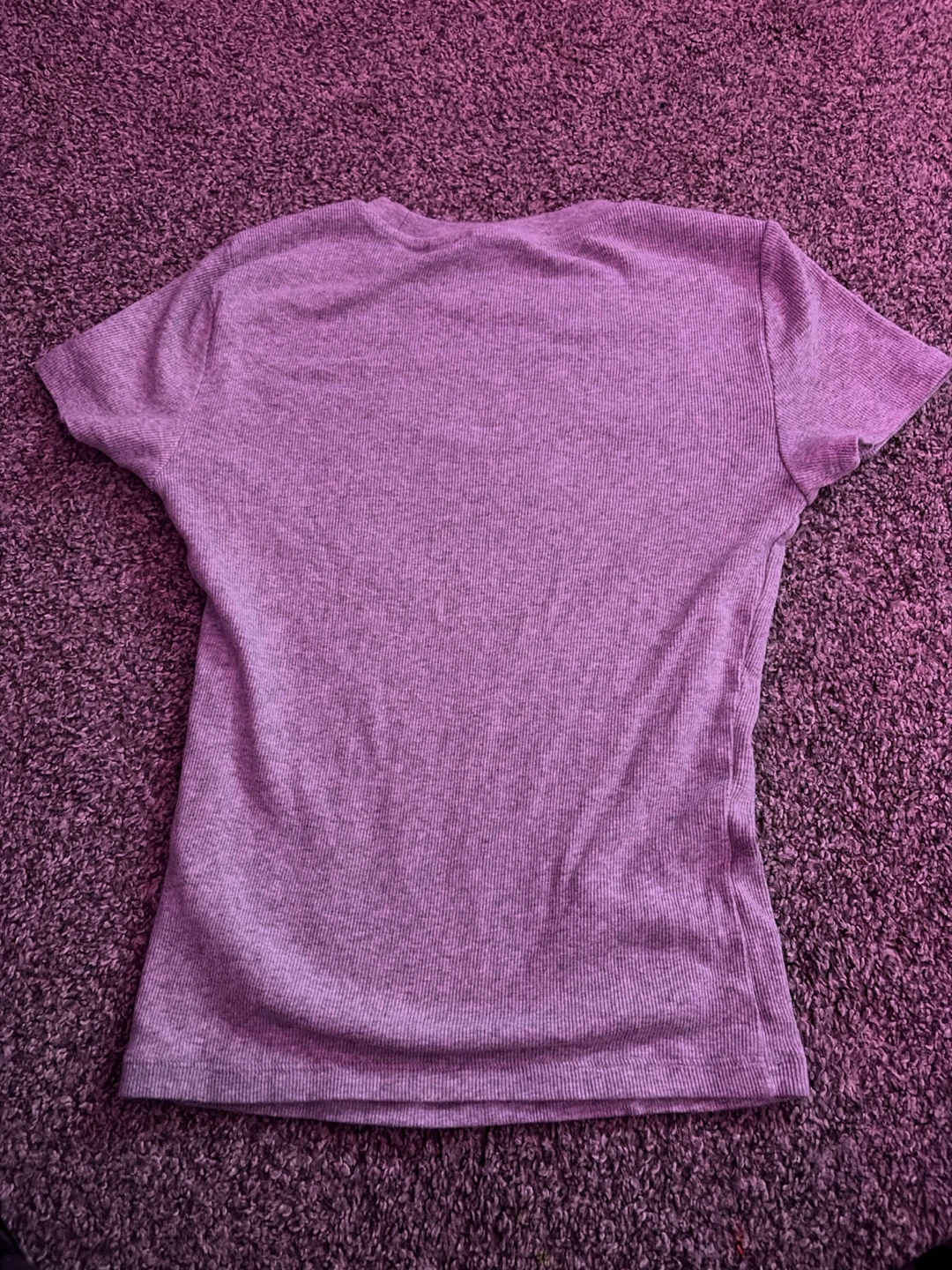 Aritzia Homestretch Ribbed T-Shirt - photo 2