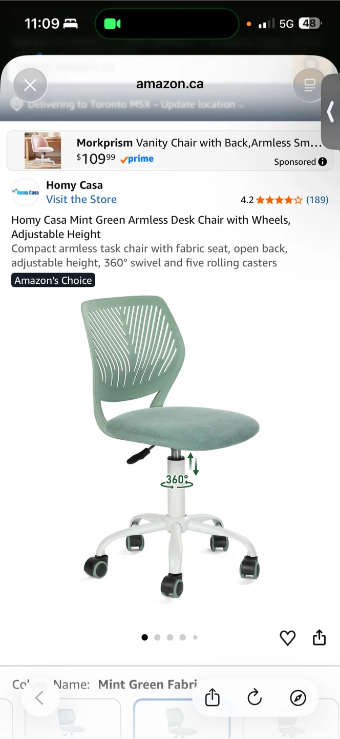 Homy Casa Mint Green Adjustable Office Chair