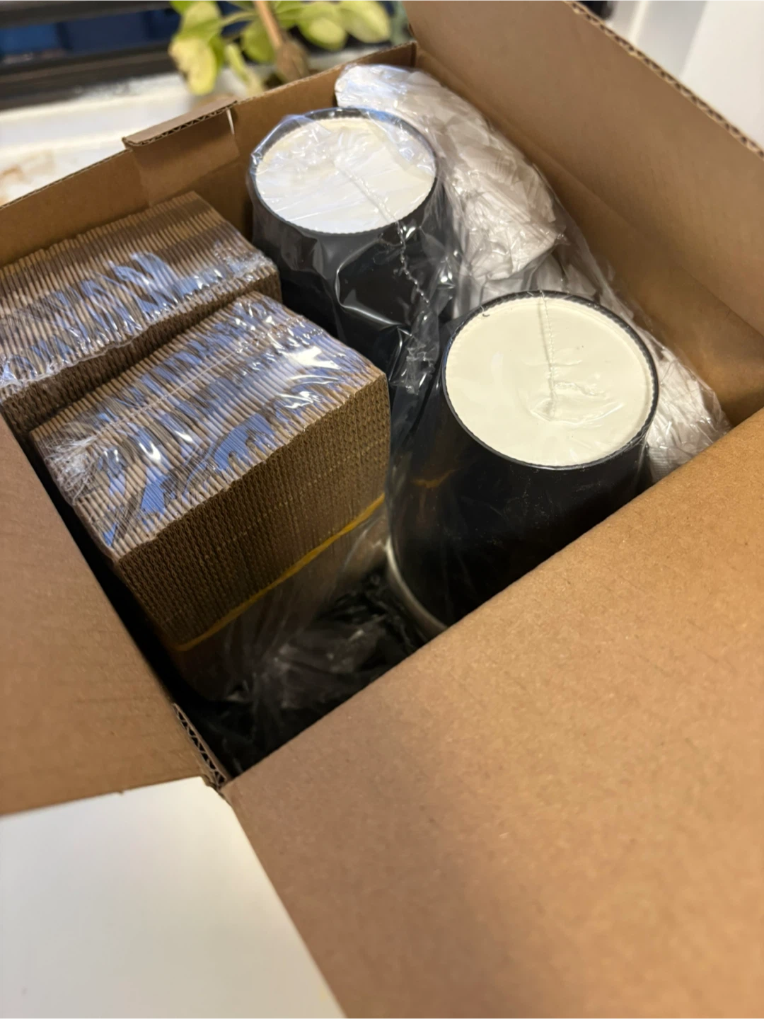 Compostable Paper Cups with Sleeves