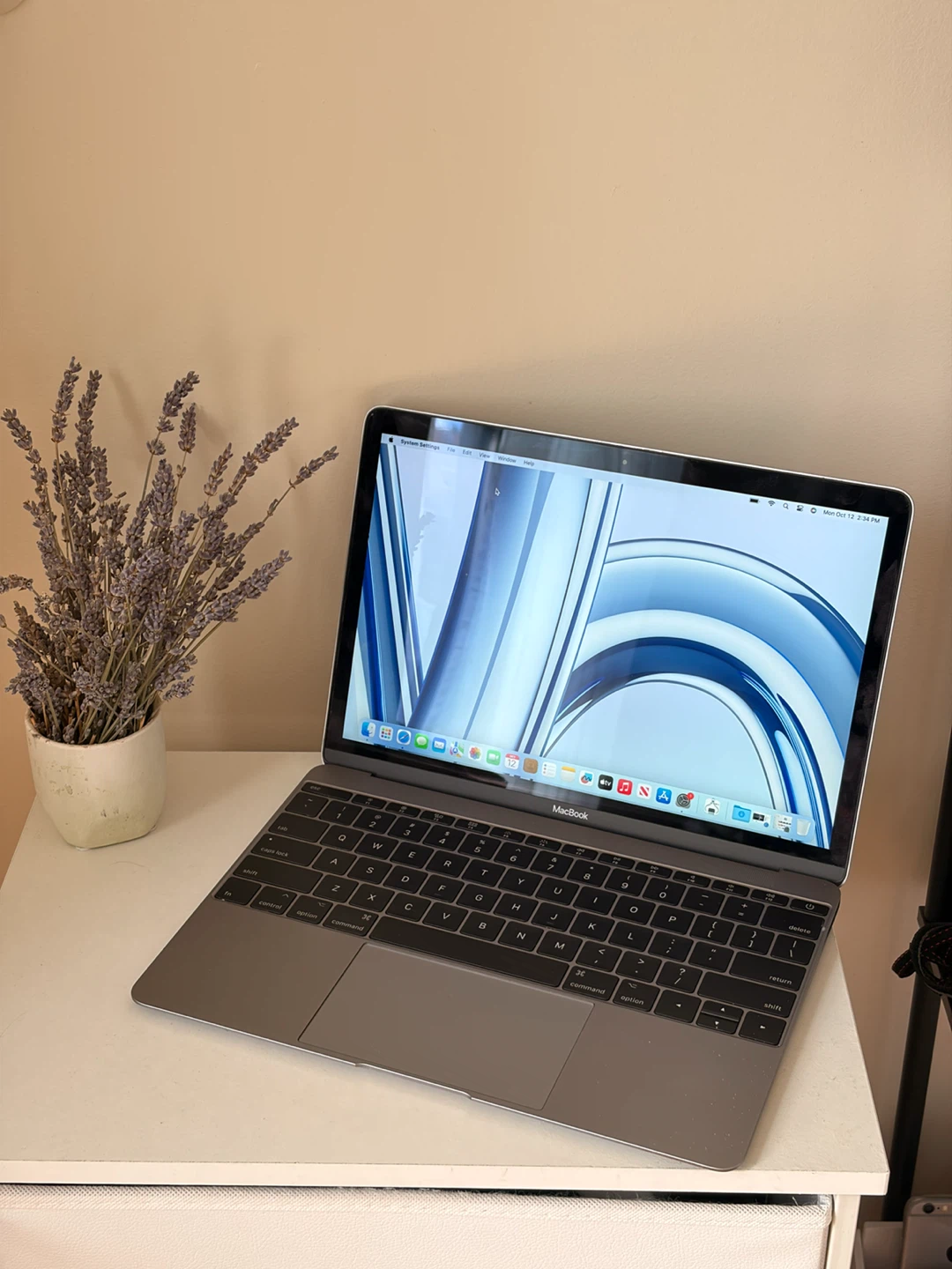 MacBook (Retina, 12-inch, 2017) — 250GB / m3 / 8GB