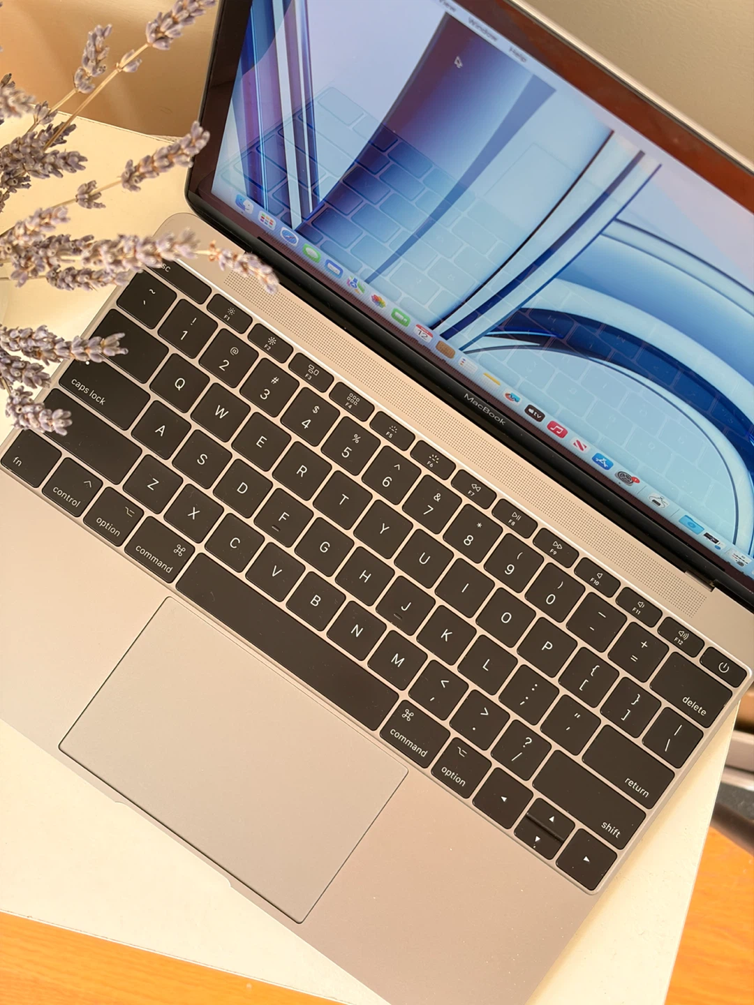 MacBook (Retina, 12-inch, 2017) — 250GB / m3 / 8GB - photo 2