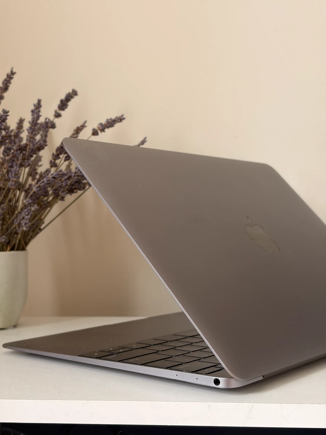 MacBook (Retina, 12-inch, 2017) — 250GB / m3 / 8GB - photo 3