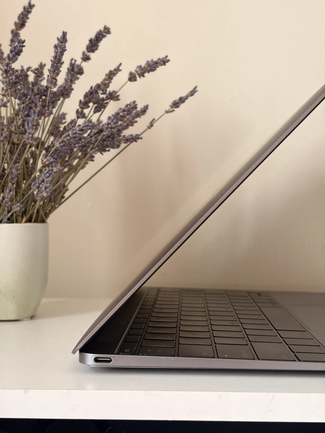 MacBook (Retina, 12-inch, 2017) — 250GB / m3 / 8GB - photo 4