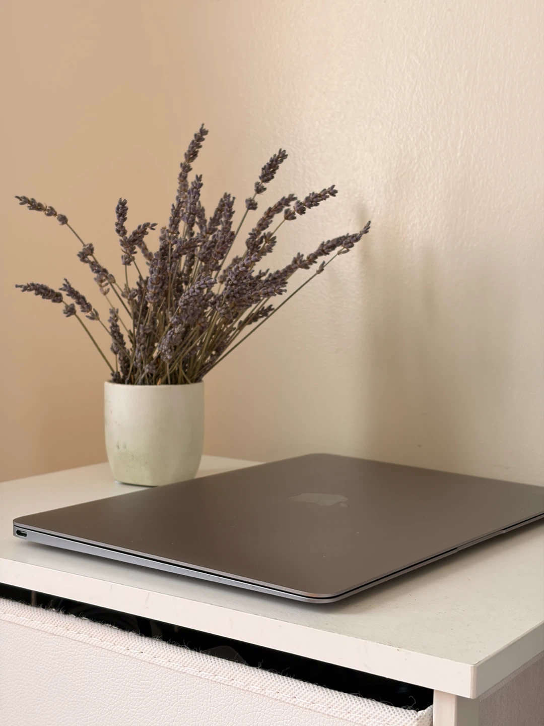 MacBook (Retina, 12-inch, 2017) — 250GB / m3 / 8GB - photo 5