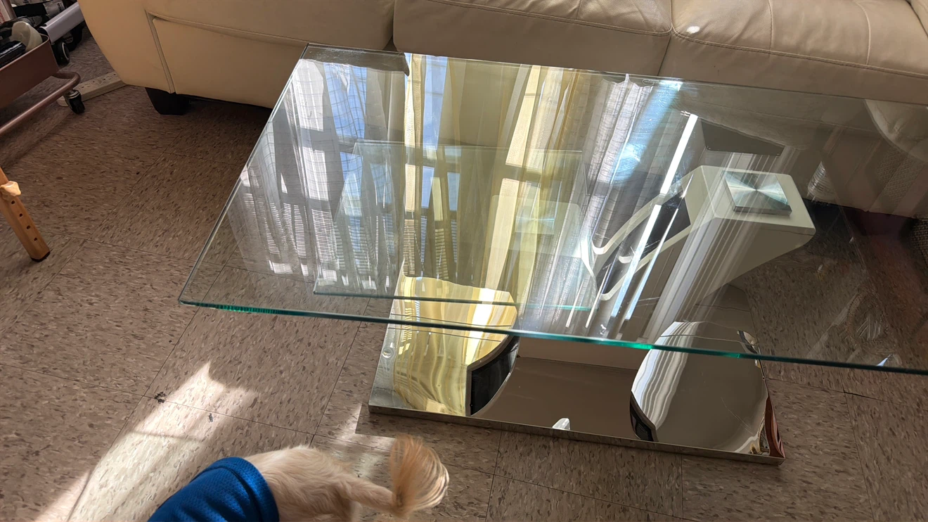 Modern Glass Coffee Table - photo 4