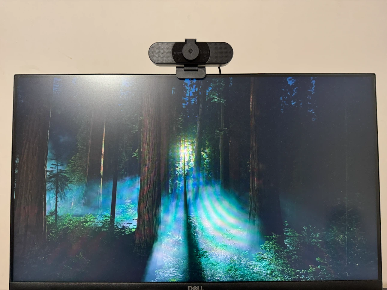Dell 24inch 1080p monitor - Great Condition