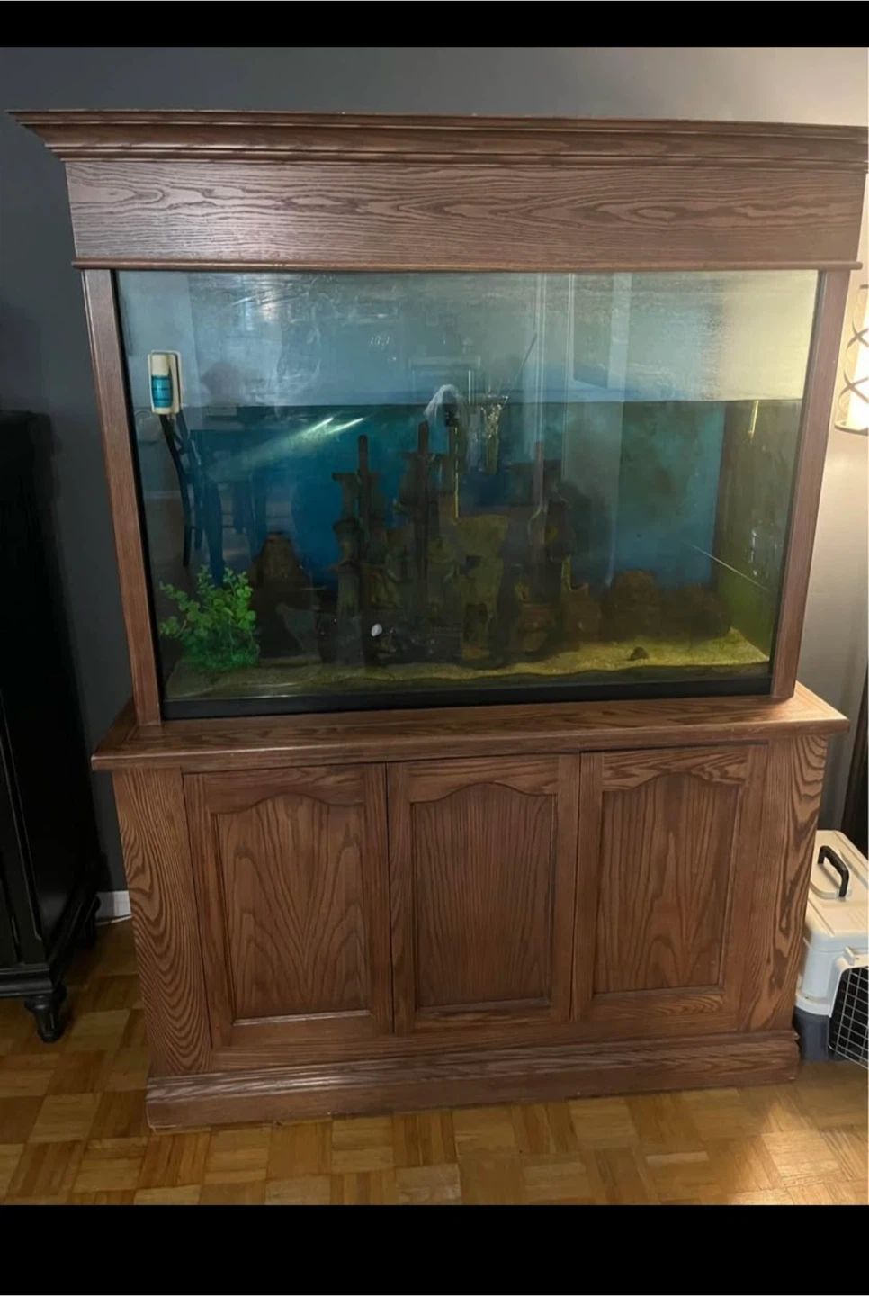 Large Glass Aquarium with Wood Stand