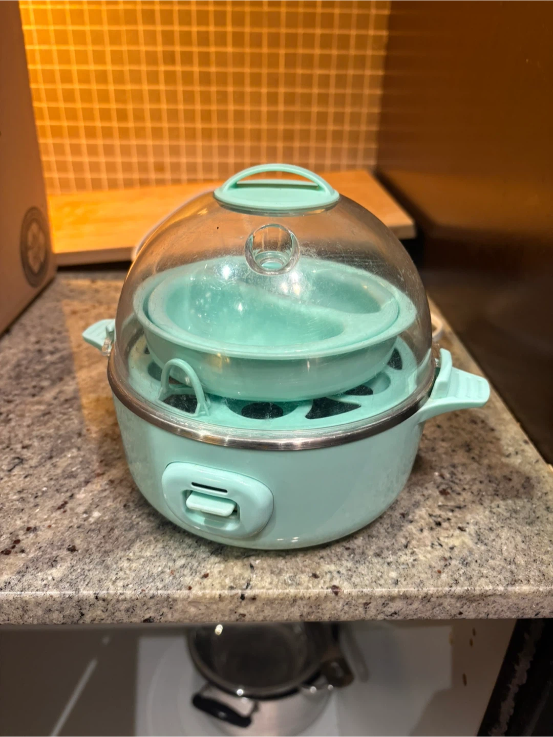 Electric Egg Cooker