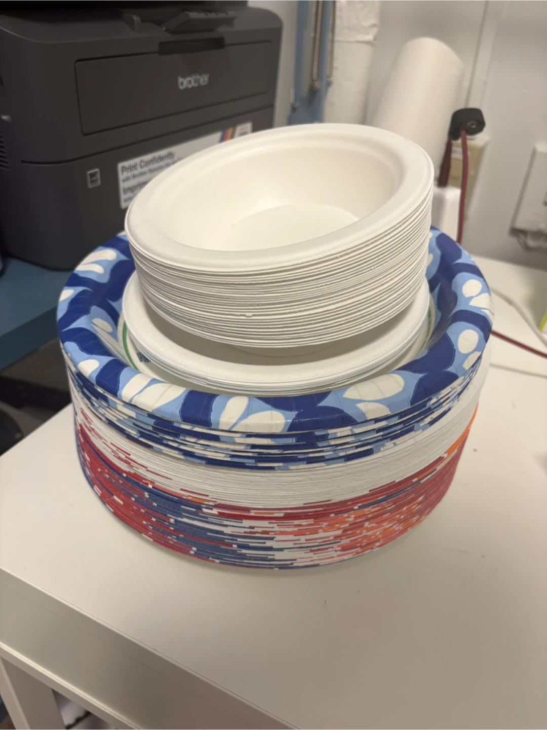 Assorted Disposable Paper Plates and Bowls