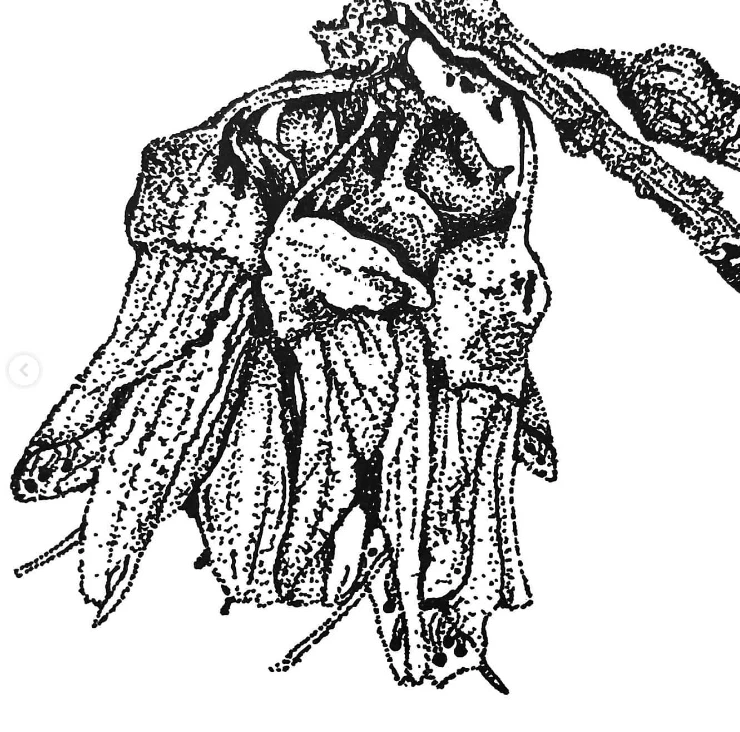 Custom Stippling Dot Art - photo 5