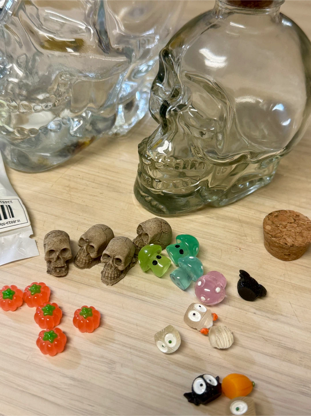 DIY Skull Terrarium Kit - photo 3
