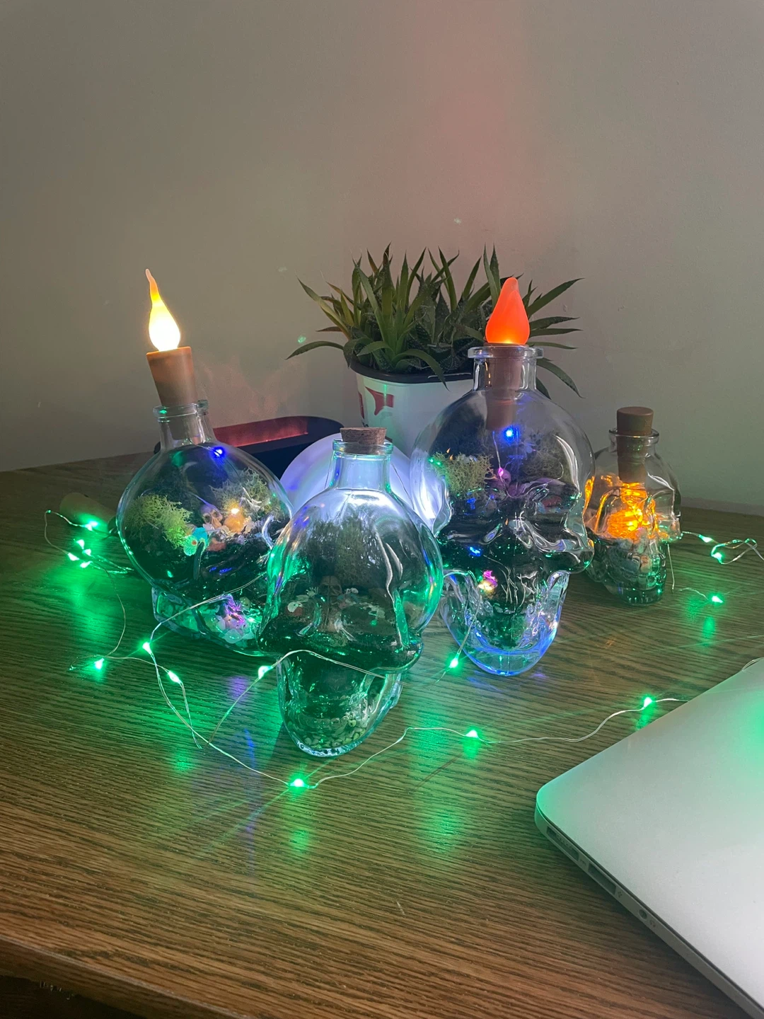 DIY Skull Terrarium Kit - photo 4