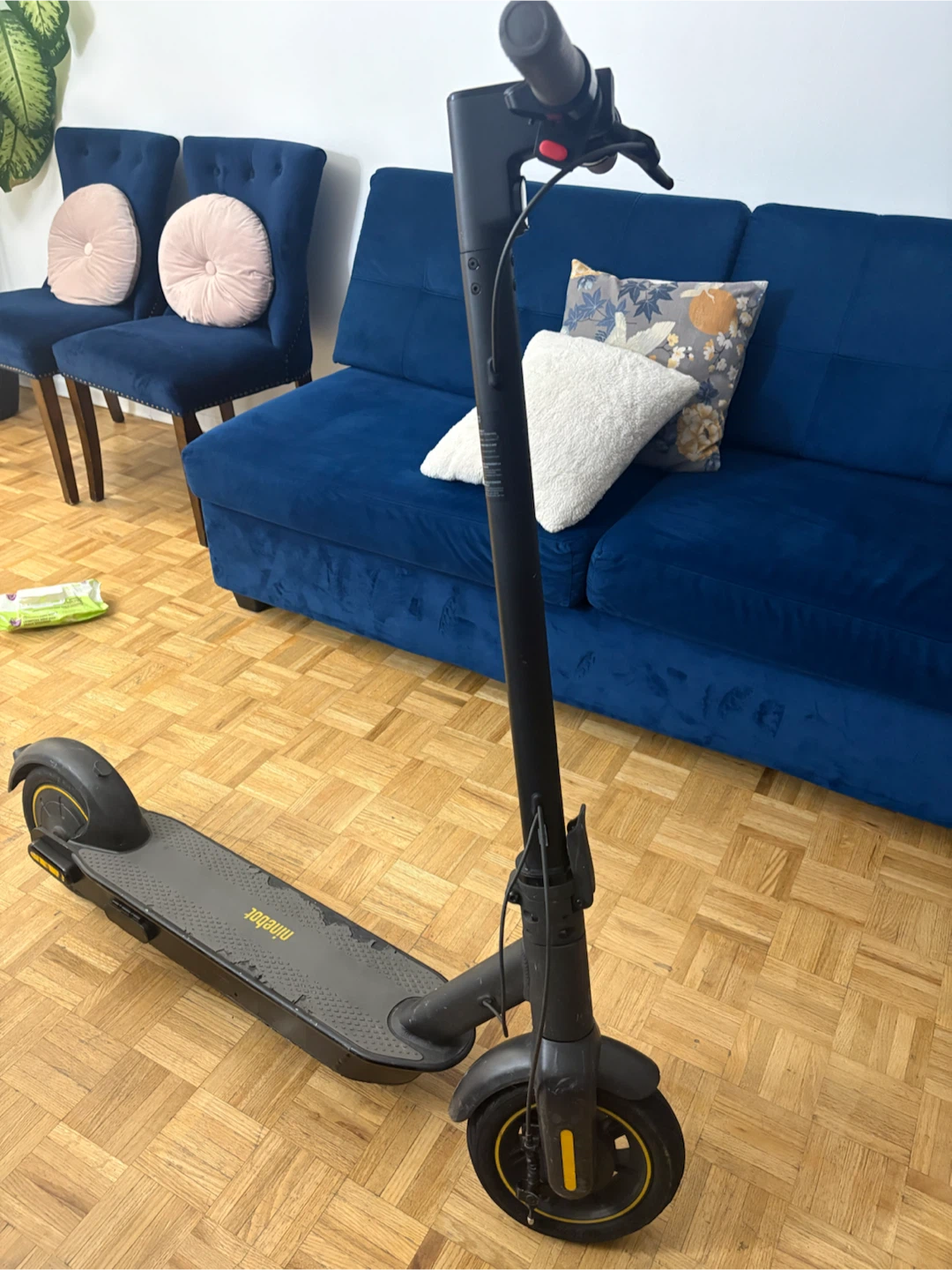 Ninebot Electric Scooter