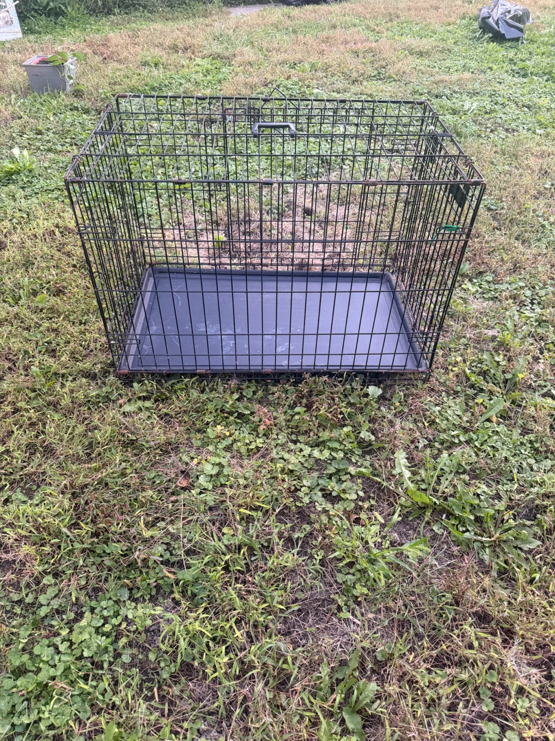 Top Paw 36" Double-Door Folding Crate