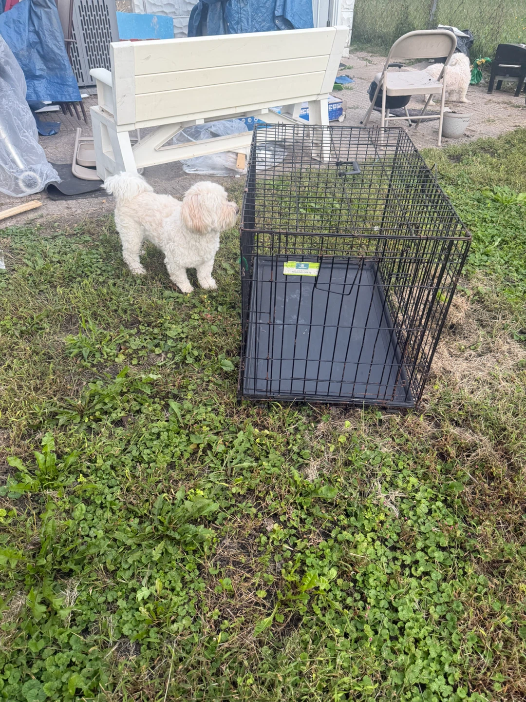 Top Paw 36" Double-Door Folding Crate - photo 2