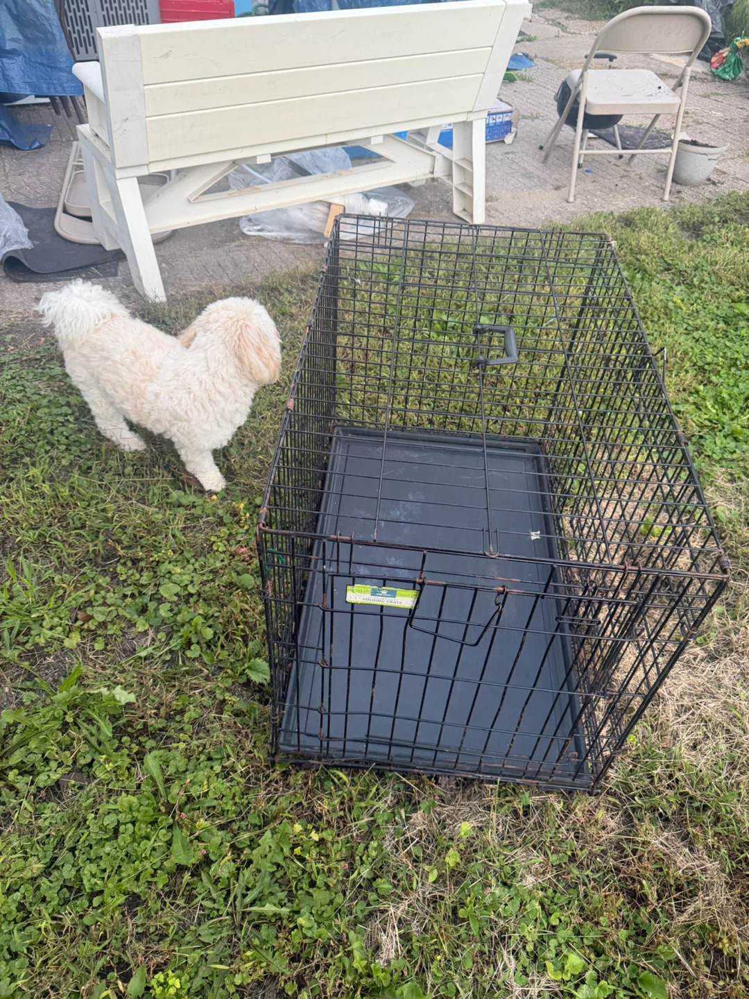 Top Paw 36" Double-Door Folding Crate - photo 3
