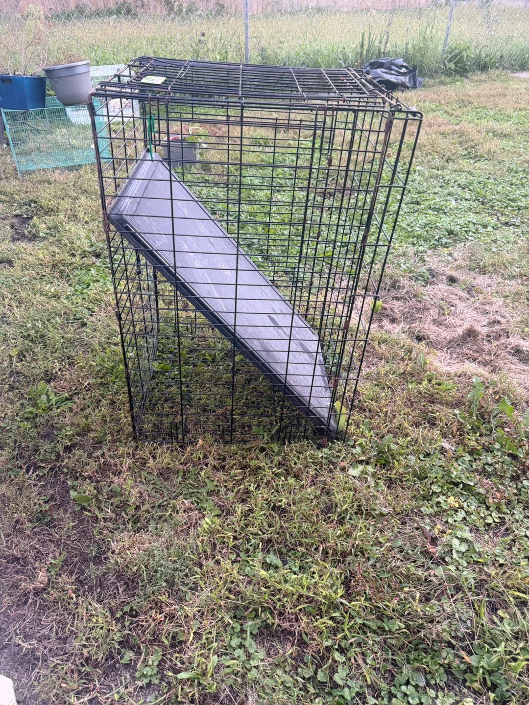 Top Paw 36" Double-Door Folding Crate - photo 5